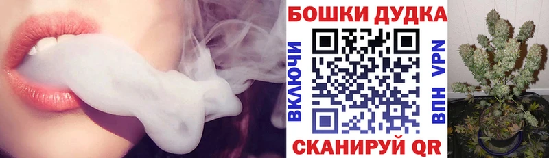 сколько стоит  Салехард  Конопля конопля 